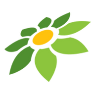 LINK JEPANGBE